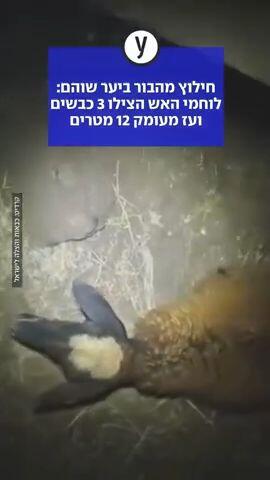 לוחמי האש הצילו 3 כבשים ועז מעומק 12 מטרים